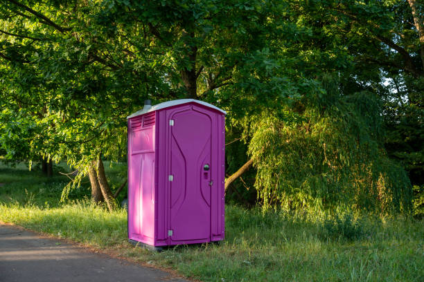 Portable Toilet Options We Offer in Spring Creek, NV